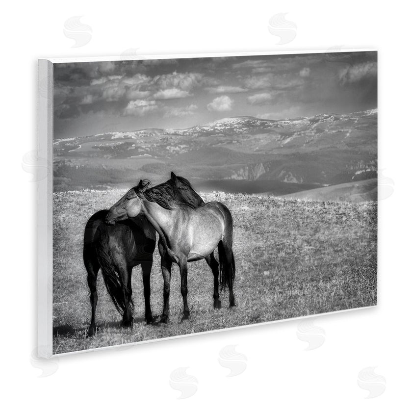 Wendy Caro | Focused Horse Duo