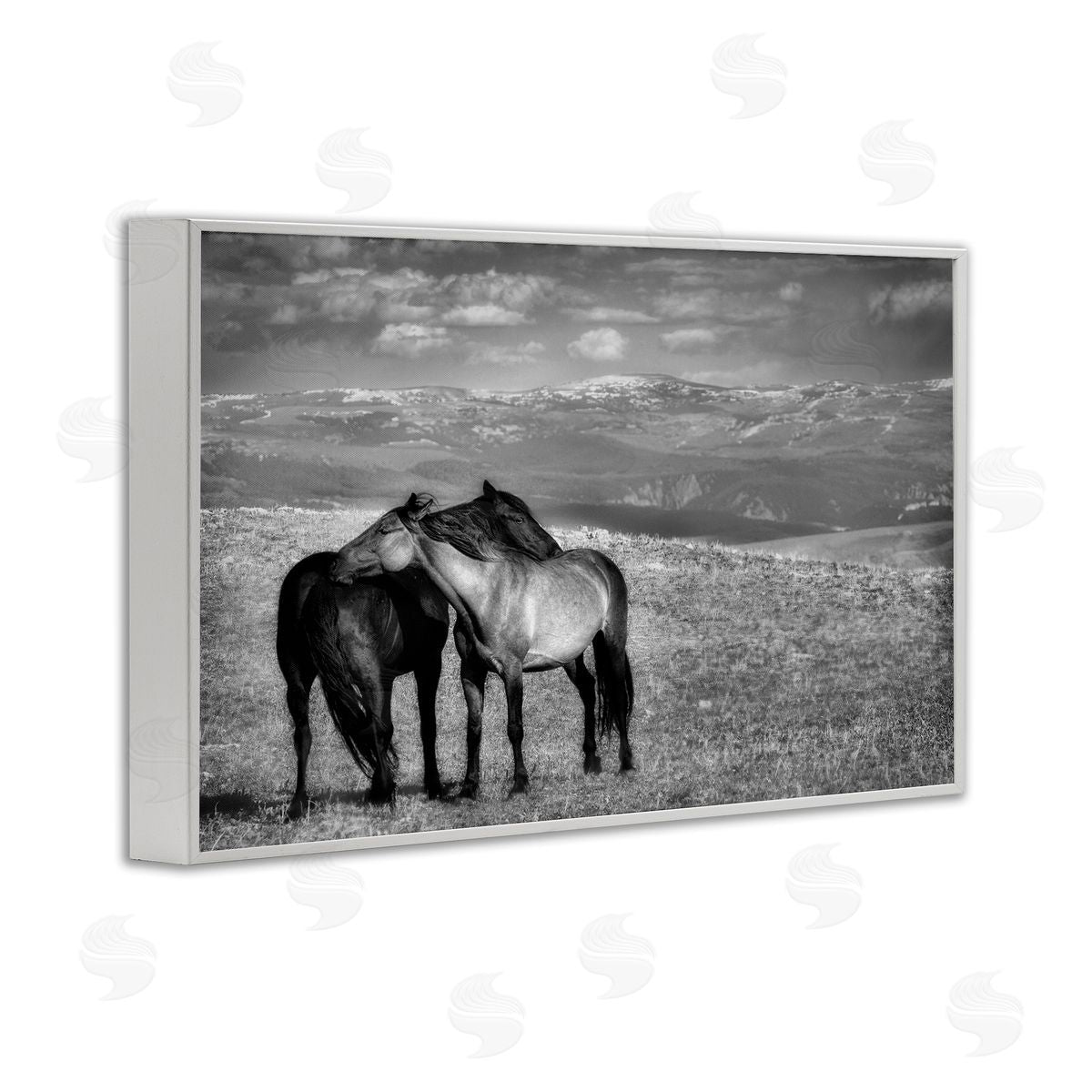 Wendy Caro Focused Horse Duo Canvas Wall Art Print