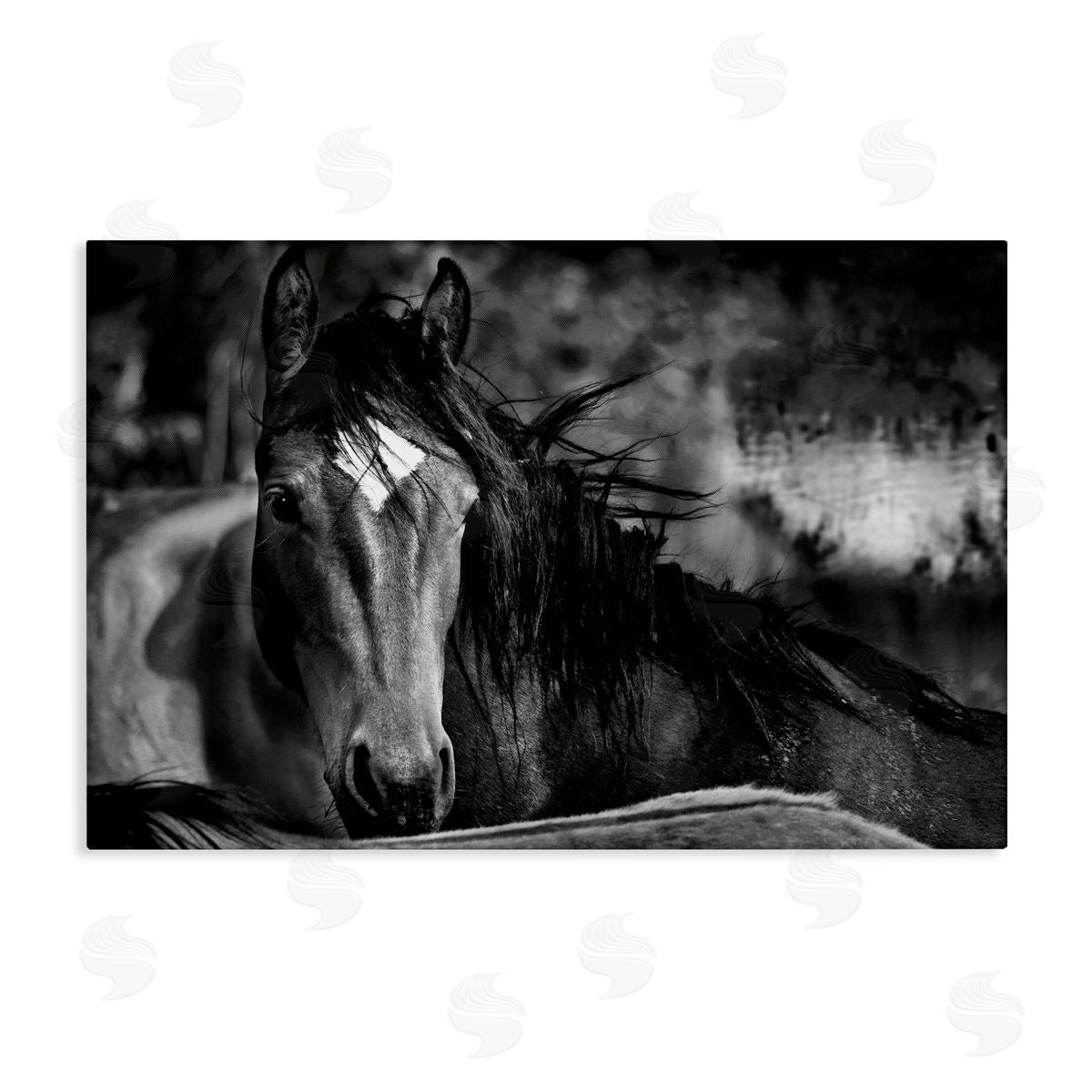 Wendy Caro Watchful Presence Horse Canvas Wall Art Print