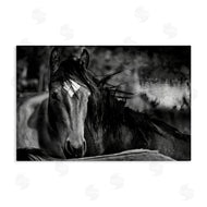 Wendy Caro | Watchful Presence Horse
