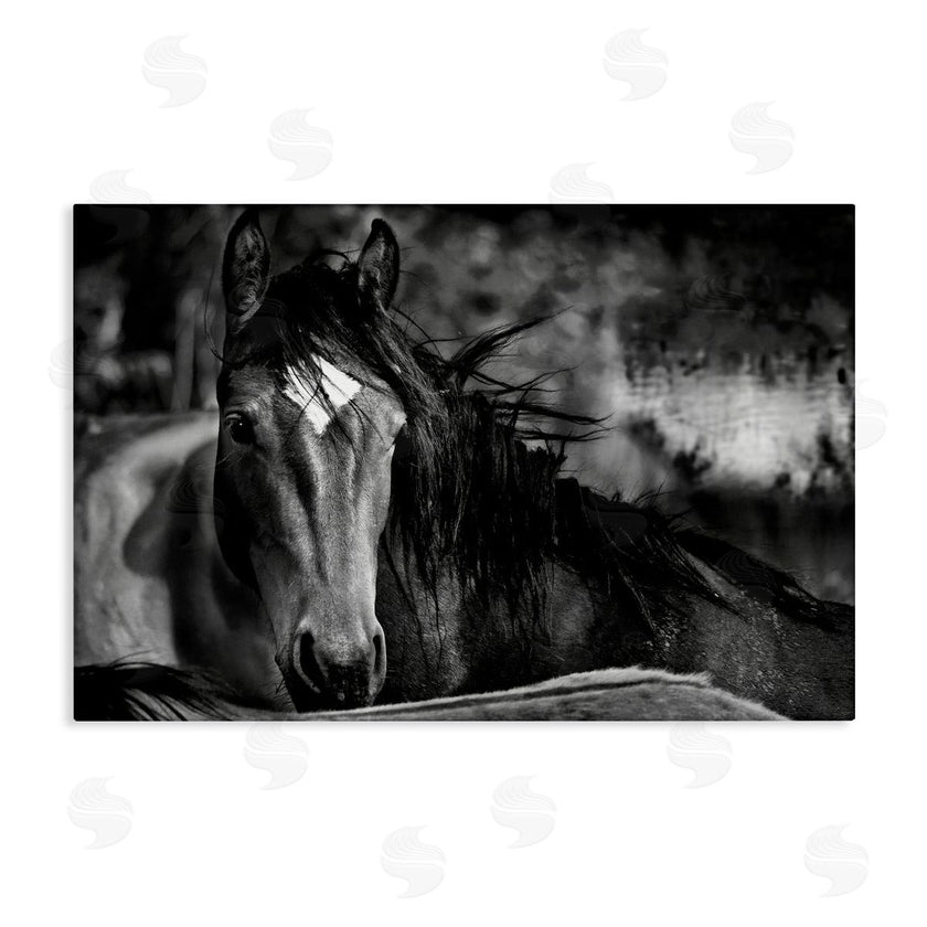 Wendy Caro | Watchful Presence Horse