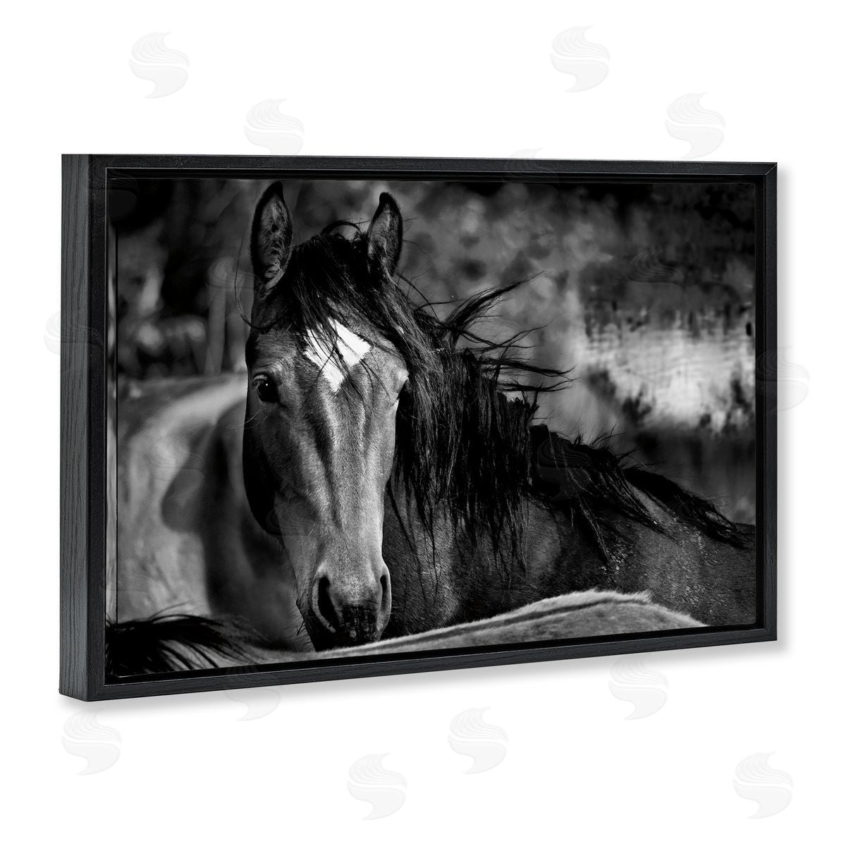 Wendy Caro Watchful Presence Horse Canvas Wall Art Print