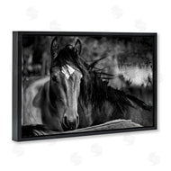 Wendy Caro | Watchful Presence Horse