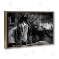Wendy Caro | Watchful Presence Horse