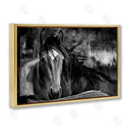 Wendy Caro | Watchful Presence Horse