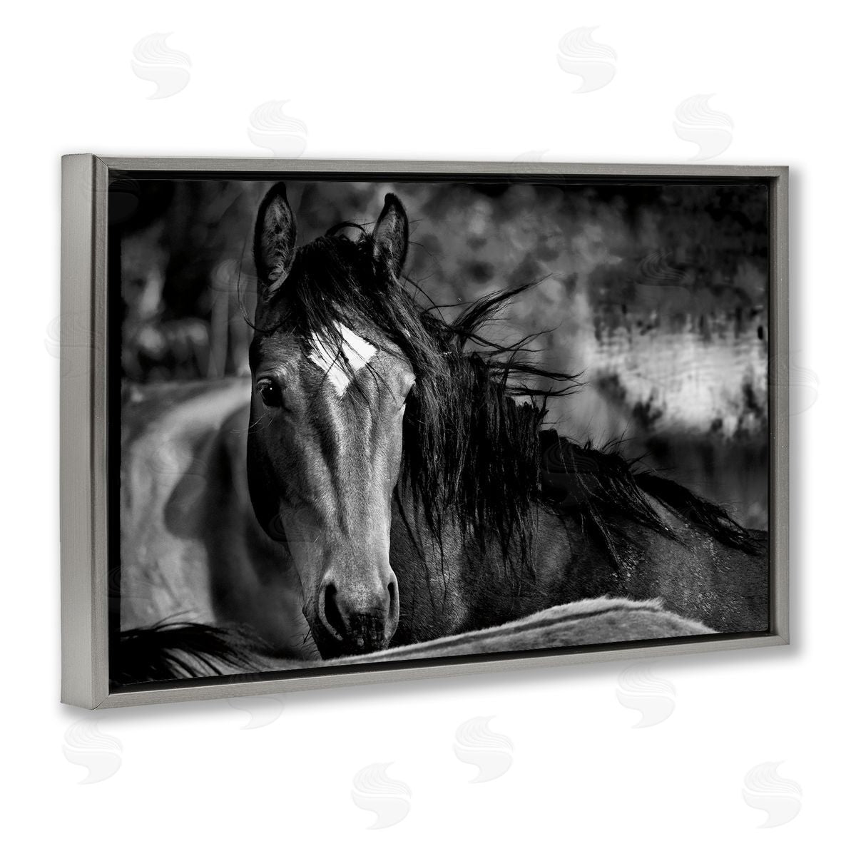 Wendy Caro Watchful Presence Horse Canvas Wall Art Print