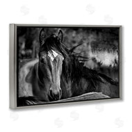 Wendy Caro | Watchful Presence Horse