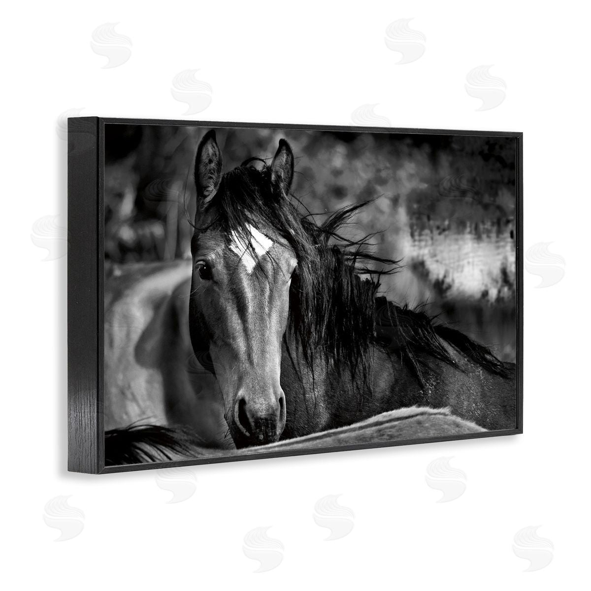 Wendy Caro Watchful Presence Horse Canvas Wall Art Print