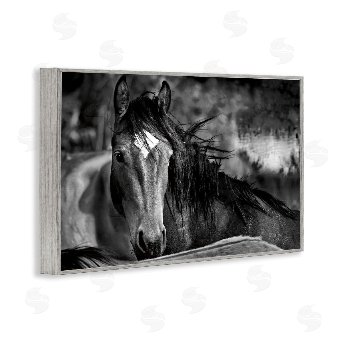 Wendy Caro Watchful Presence Horse Canvas Wall Art Print