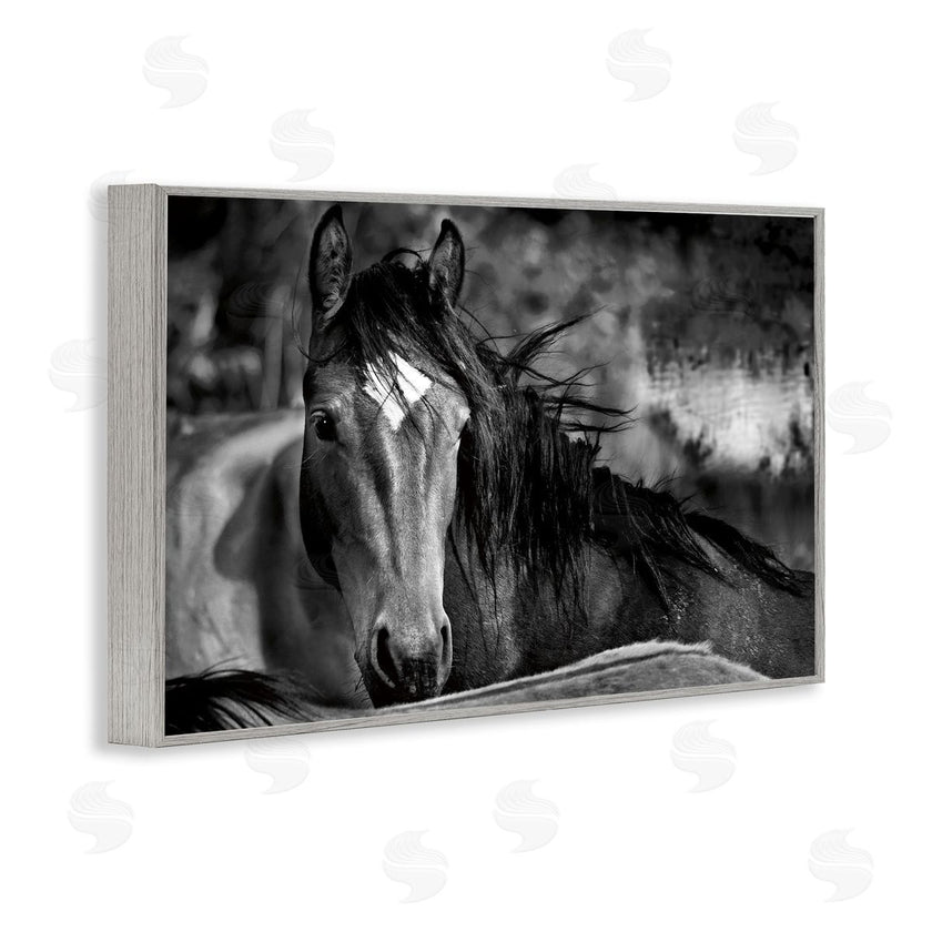 Wendy Caro | Watchful Presence Horse