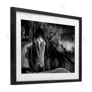 Wendy Caro | Watchful Presence Horse