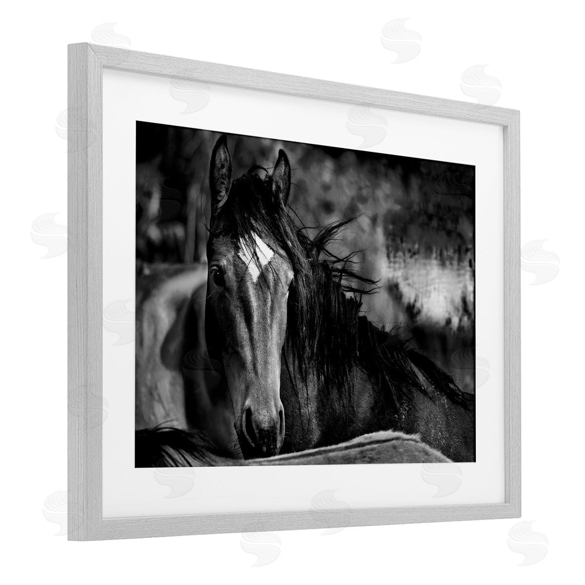 Wendy Caro Watchful Presence Horse Canvas Wall Art Print