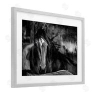 Wendy Caro | Watchful Presence Horse