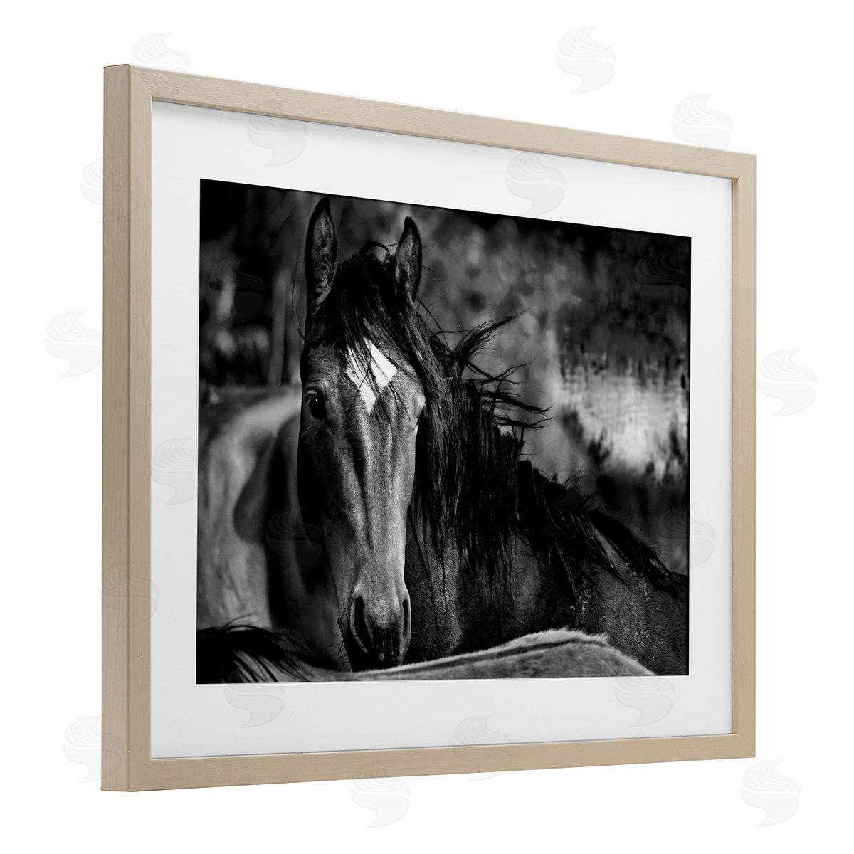 Wendy Caro Watchful Presence Horse Canvas Wall Art Print