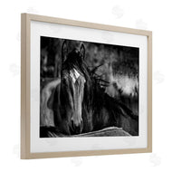 Wendy Caro | Watchful Presence Horse