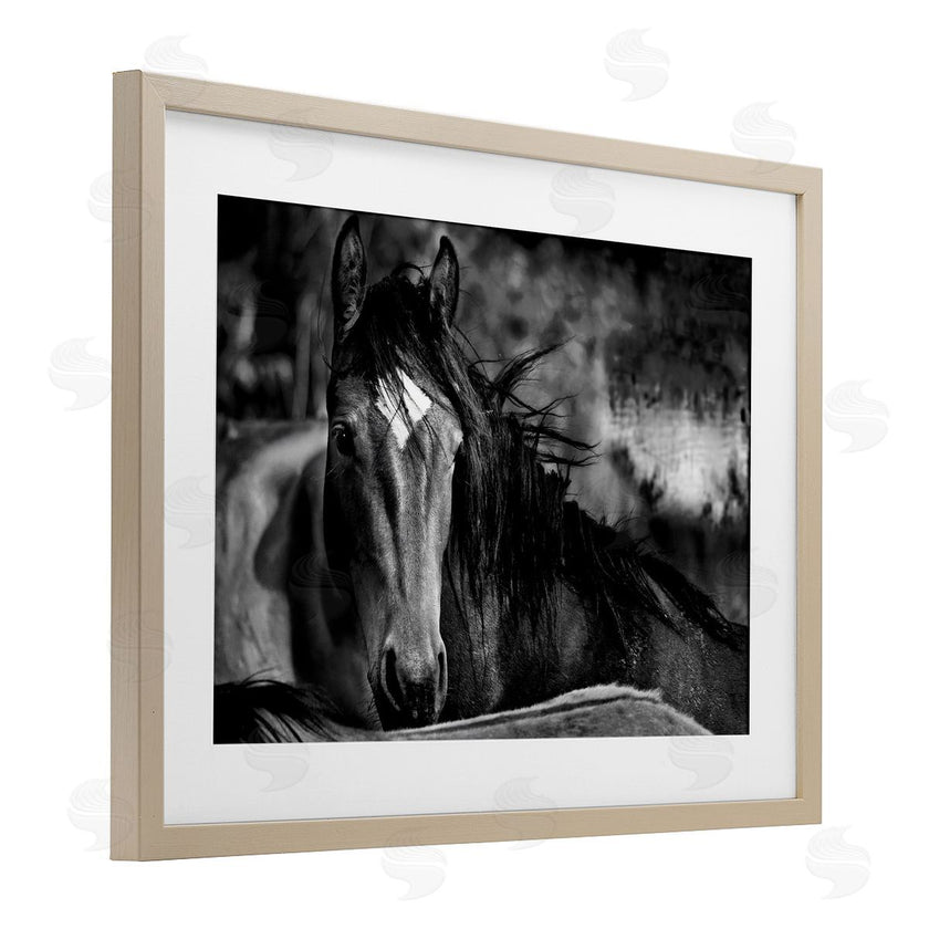 Wendy Caro | Watchful Presence Horse