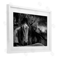 Wendy Caro | Watchful Presence Horse