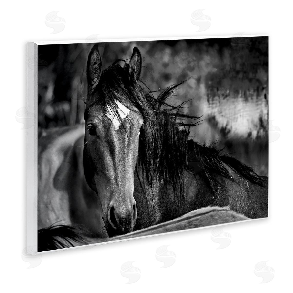 Wendy Caro Watchful Presence Horse Canvas Wall Art Print
