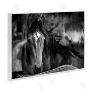 Wendy Caro | Watchful Presence Horse