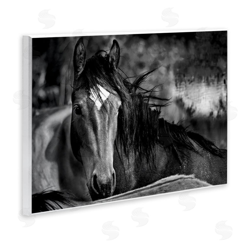 Wendy Caro | Watchful Presence Horse