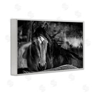 Wendy Caro | Watchful Presence Horse