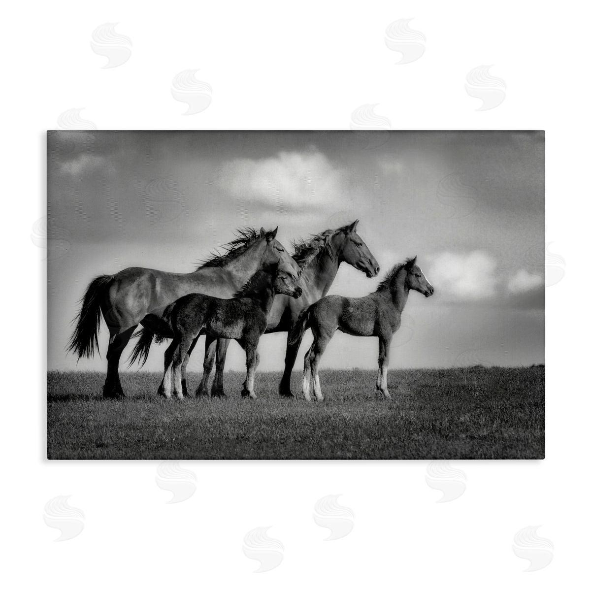 Wendy Caro Babies On Board Horse Family Canvas Wall Art Print