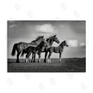 Wendy Caro | Babies On Board Horse Family