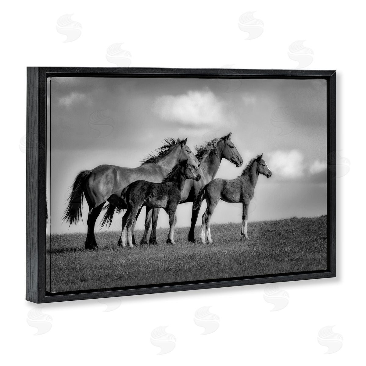 Wendy Caro Babies On Board Horse Family Canvas Wall Art Print