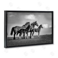 Wendy Caro | Babies On Board Horse Family