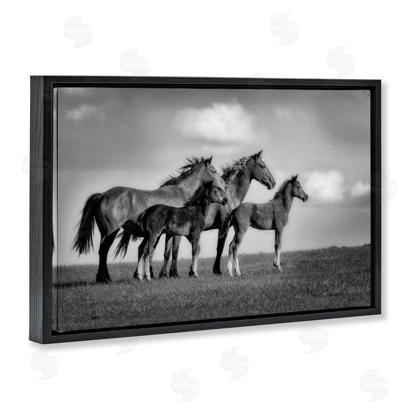 Wendy Caro | Babies On Board Horse Family