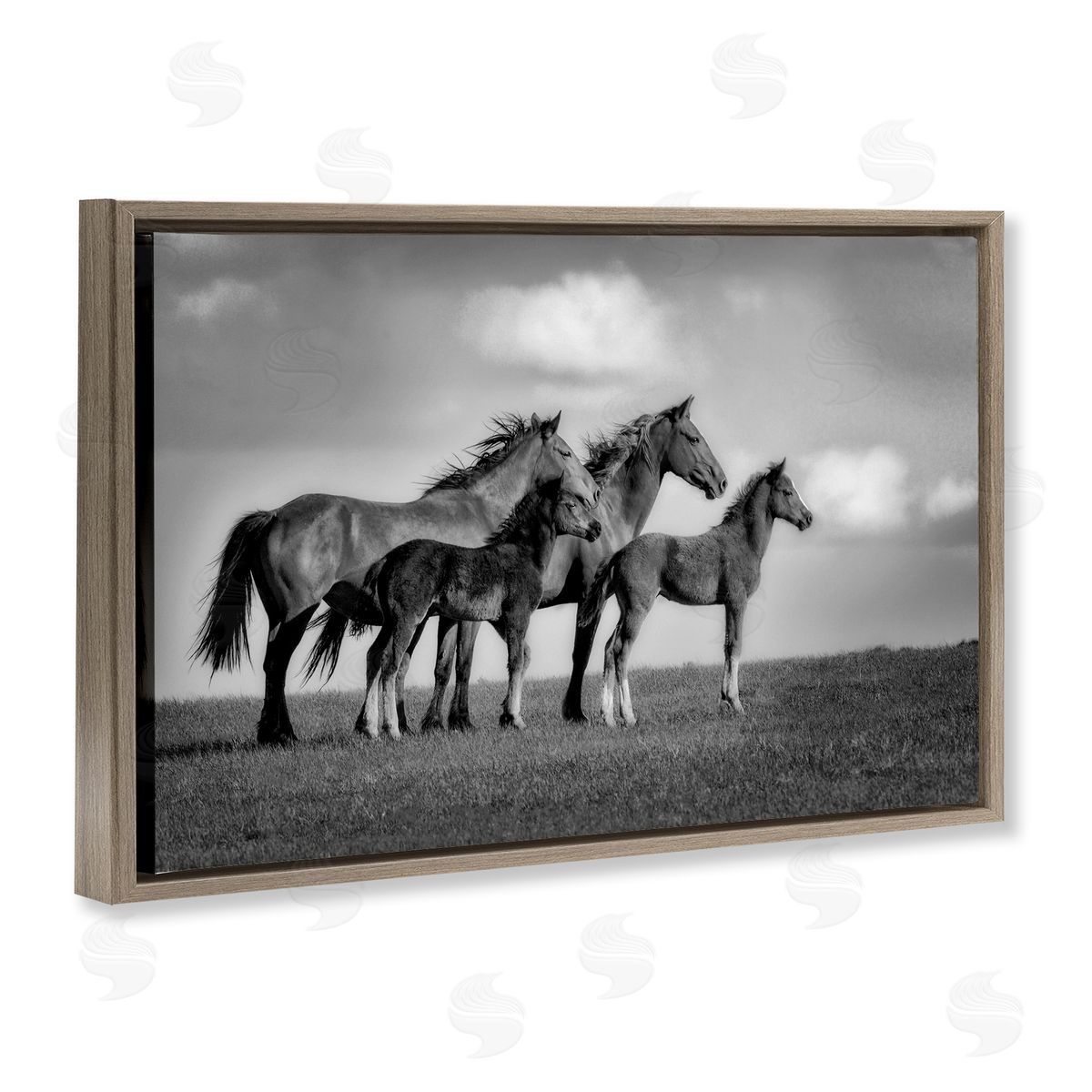 Wendy Caro Babies On Board Horse Family Canvas Wall Art Print