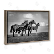 Wendy Caro | Babies On Board Horse Family