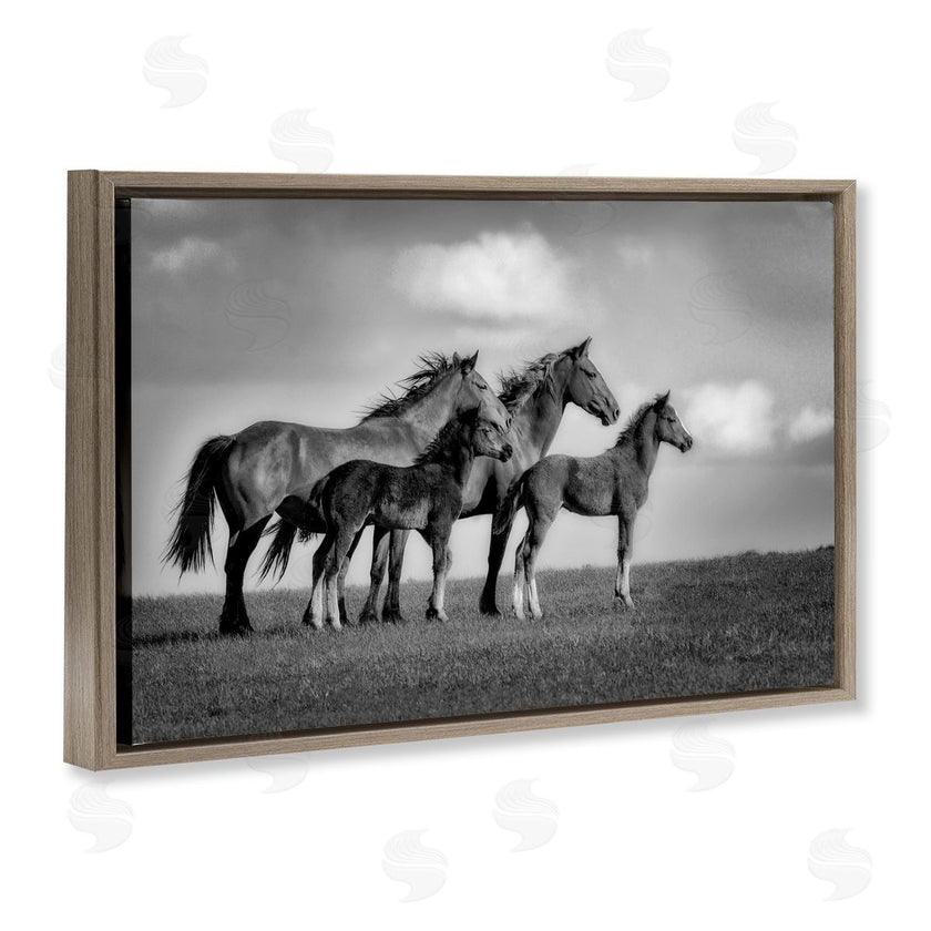 Wendy Caro | Babies On Board Horse Family