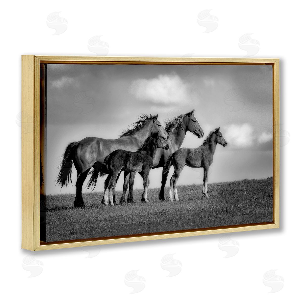 Wendy Caro Babies On Board Horse Family Canvas Wall Art Print