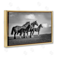 Wendy Caro | Babies On Board Horse Family