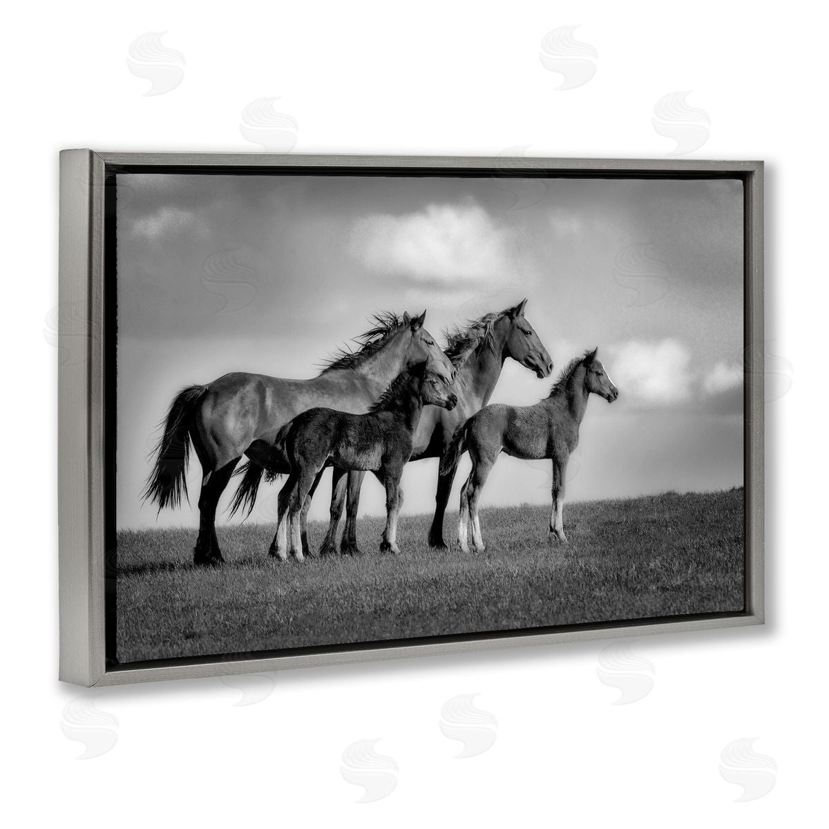 Wendy Caro Babies On Board Horse Family Canvas Wall Art Print