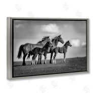 Wendy Caro | Babies On Board Horse Family