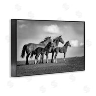 Wendy Caro | Babies On Board Horse Family