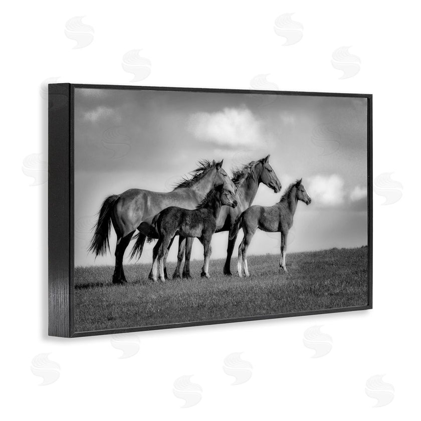 Wendy Caro | Babies On Board Horse Family