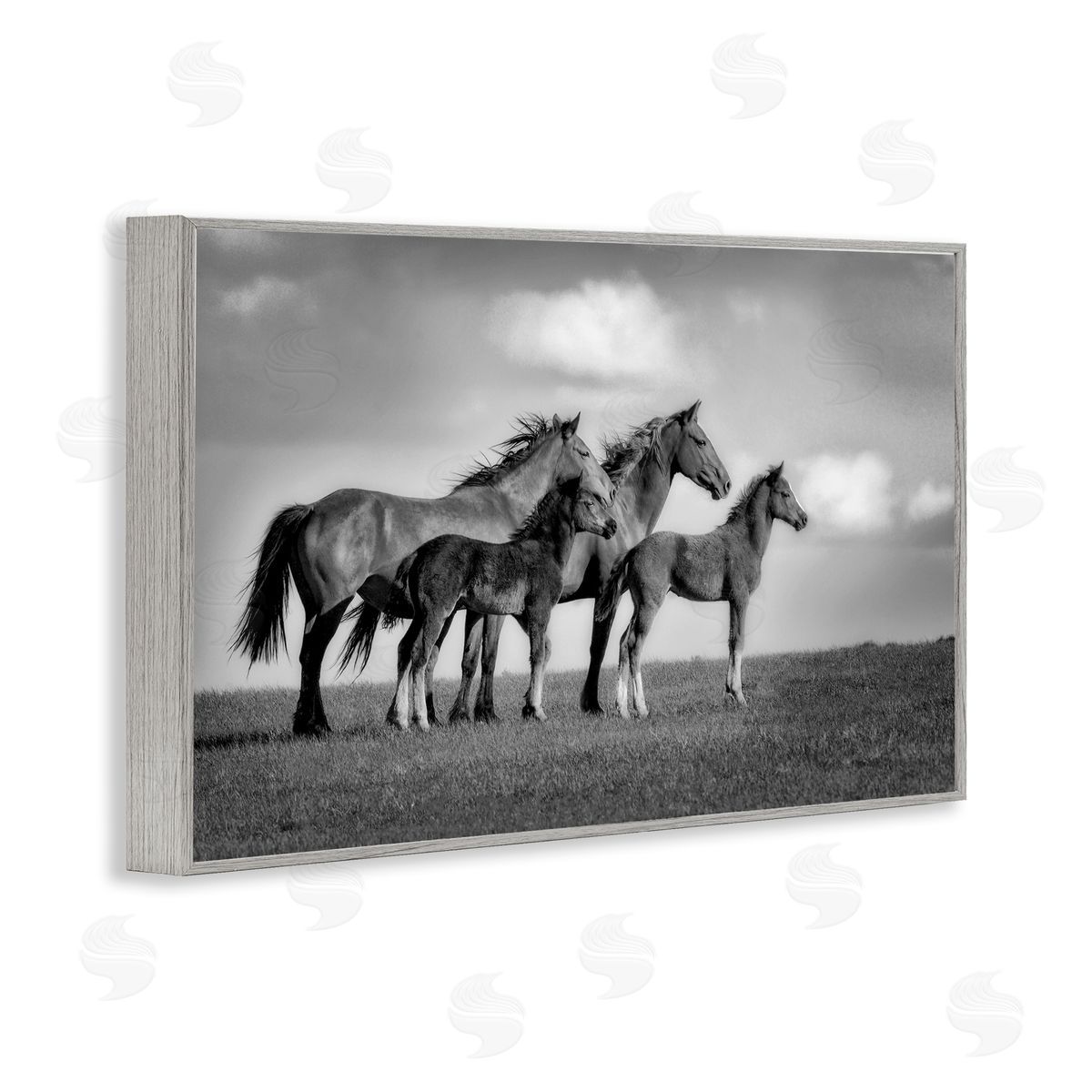 Wendy Caro Babies On Board Horse Family Canvas Wall Art Print