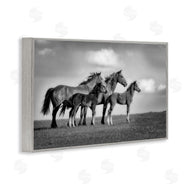 Wendy Caro | Babies On Board Horse Family