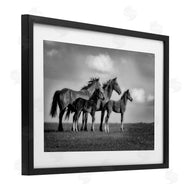 Wendy Caro | Babies On Board Horse Family