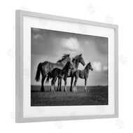 Wendy Caro | Babies On Board Horse Family