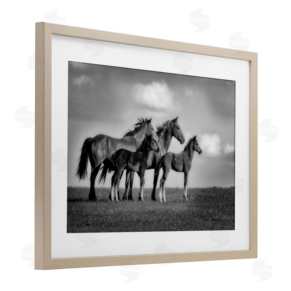 Wendy Caro Babies On Board Horse Family Canvas Wall Art Print