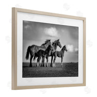 Wendy Caro | Babies On Board Horse Family
