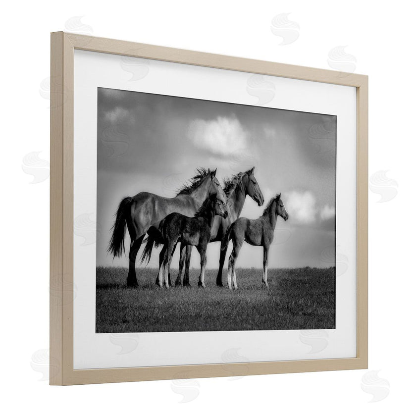 Wendy Caro | Babies On Board Horse Family