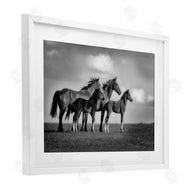 Wendy Caro | Babies On Board Horse Family