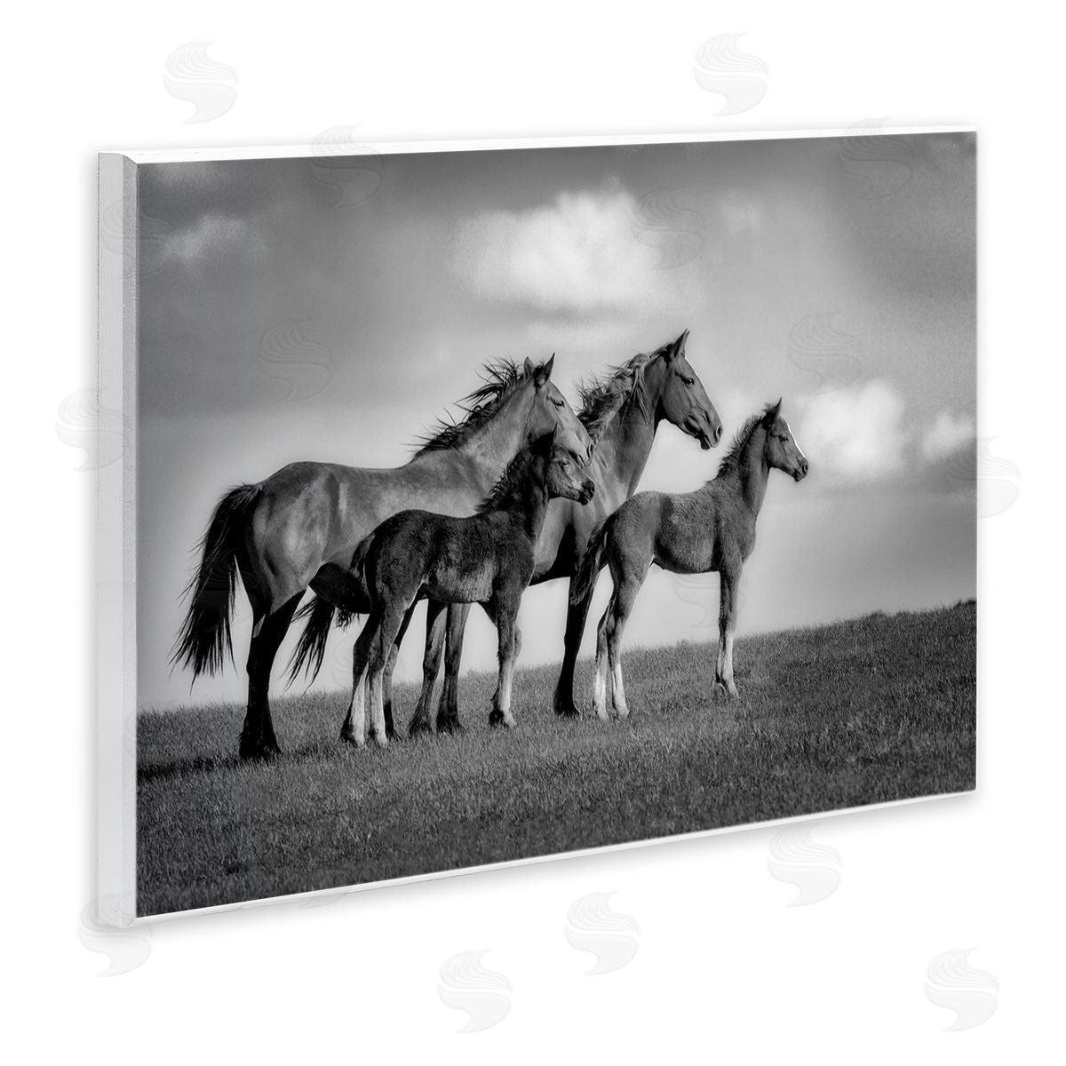 Wendy Caro Babies On Board Horse Family Canvas Wall Art Print