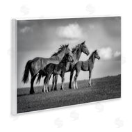 Wendy Caro | Babies On Board Horse Family