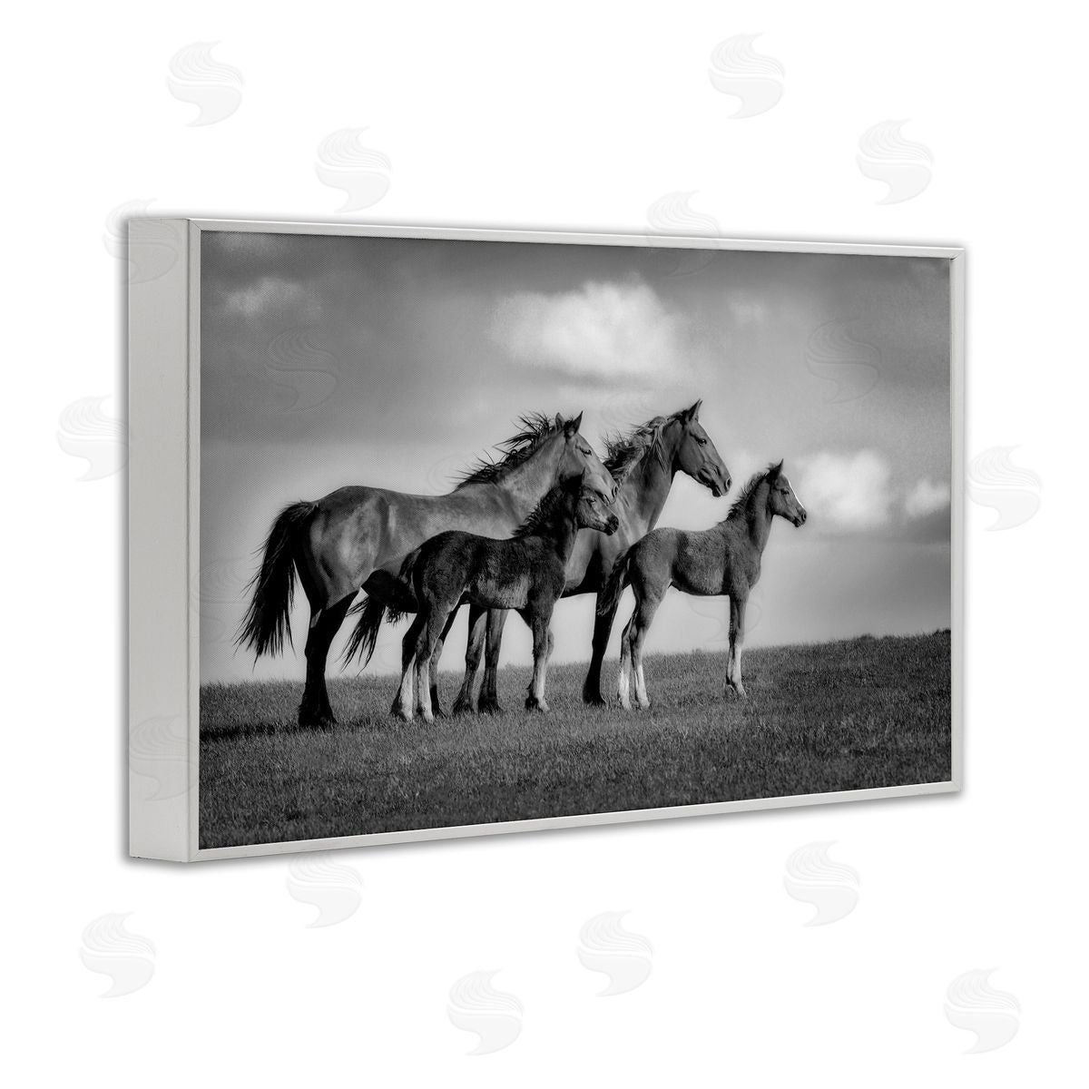 Wendy Caro Babies On Board Horse Family Canvas Wall Art Print